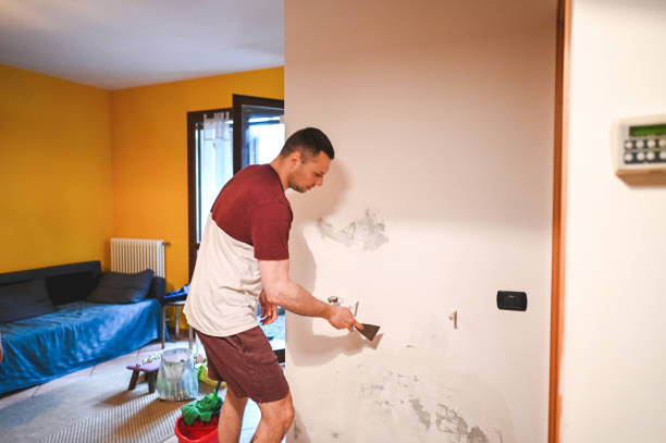 Best Basement Mold Remediation in Citrus Heights, CA
